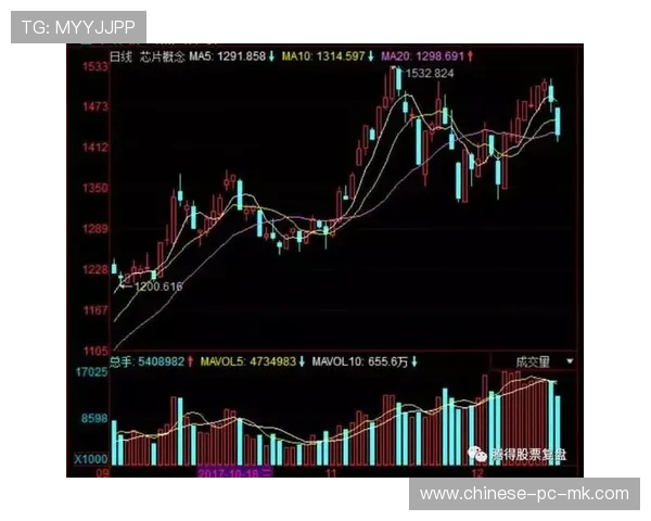 分析：场馆安全新规对比赛攻防节奏的潜在效应